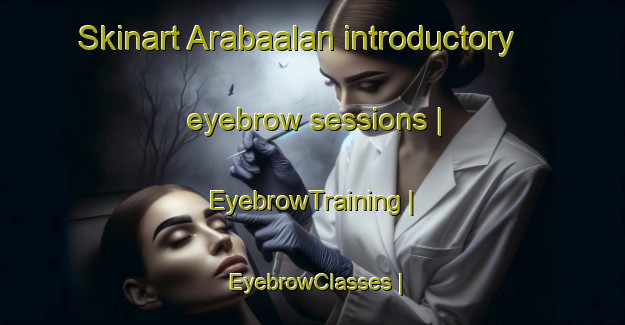 Skinart Arabaalan introductory eyebrow sessions | EyebrowTraining | EyebrowClasses | SkinartTraining-Turkey